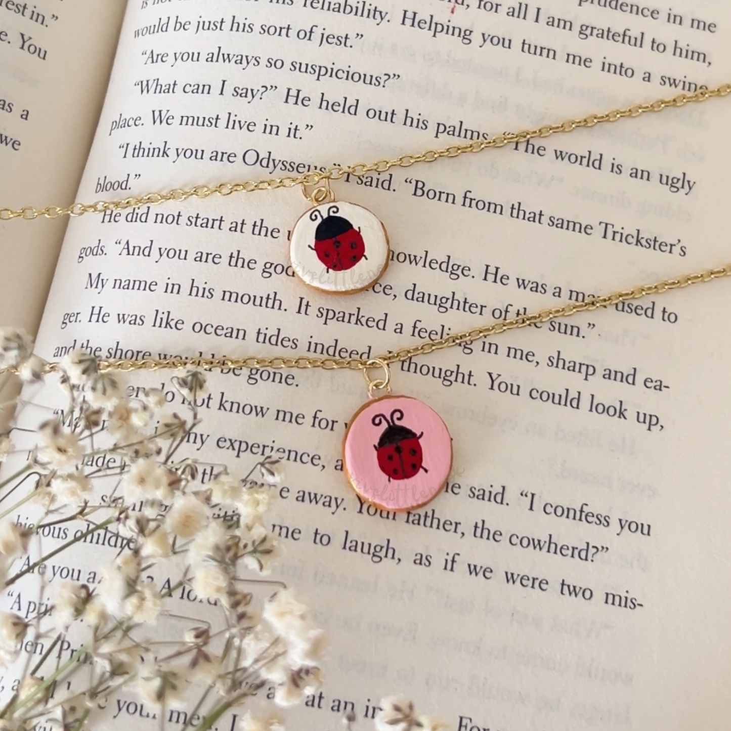 Ladybug Frame Necklace